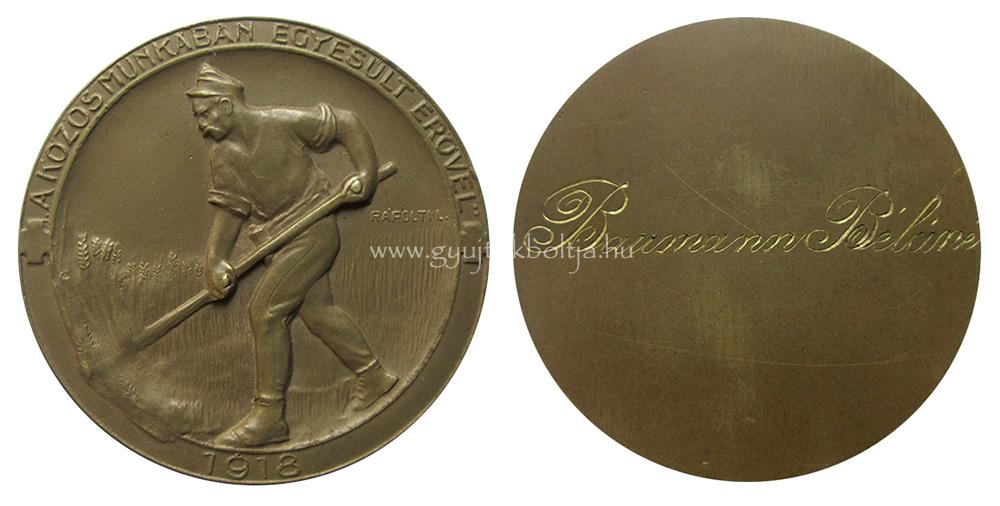 Rpolti Lajos: Kzs munkban egyeslt ervel 1918 Vrskereszt